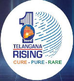 Telangana Rising Logo